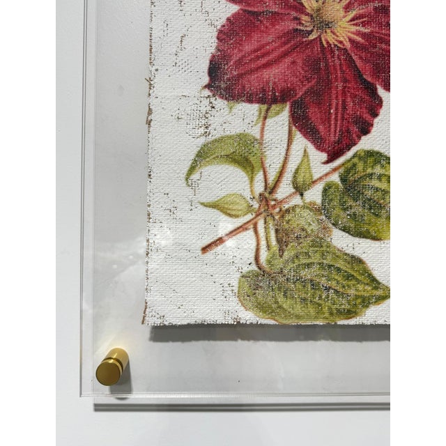 Crimson Clematis — Hand Textured Red Flower Art For Sale - Image 4 of 7
