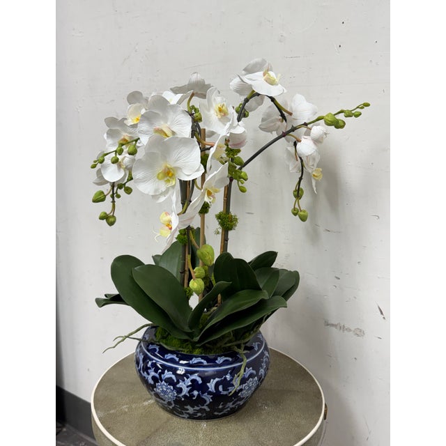 Design Plus Gallery presents an Orchid in a Fishbowl from Winward Home. The flowers and leaves are made from polyester and...