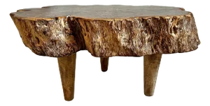 Vintage Organic Lychee Wood Coffee Table