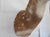 Spotted Deer Head & Bust Mount For Sale - Image 12 of 15