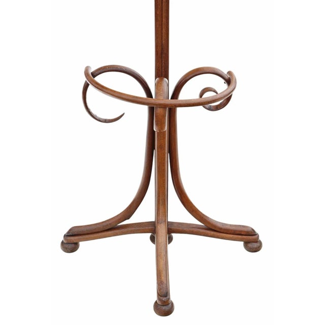 Large Antique Bentwood Coat and Hat Stand, 1890s For Sale - Image 5 of 7