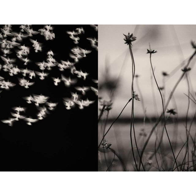 Gaia Diptych #8 by Jaume Llorens Bach is a 18cm x 24cm Black and White print on Premio Kozo gsm White Paper by Awagami...