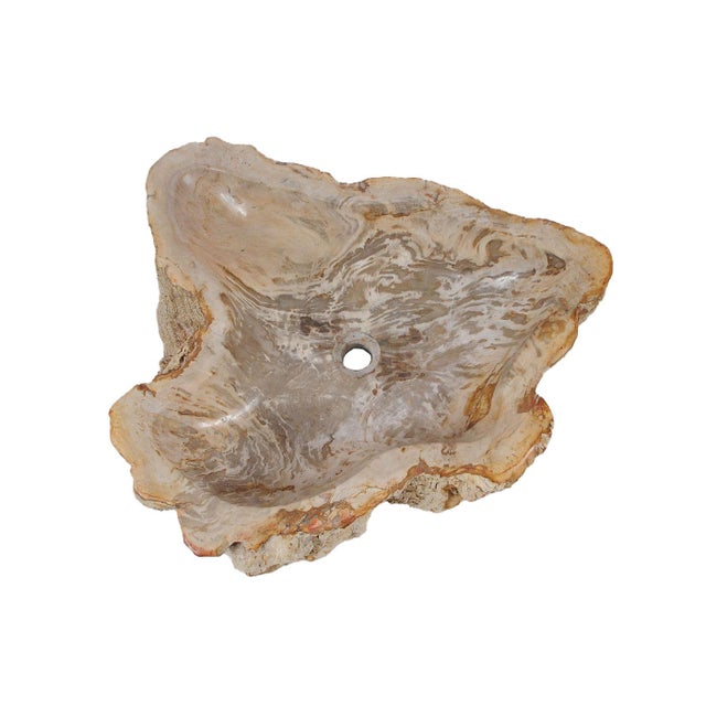 This exceptional petrified wood wash basin is a unique natural object formed over millions of years and handcrafted in...