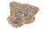 This exceptional petrified wood wash basin is a unique natural object formed over millions of years and handcrafted in...