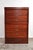 Modular Mahogany Chest of Drawers, 1950s For Sale - Image 3 of 14