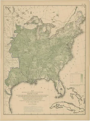 Antique Chart of the US Birth Rate, 1874
