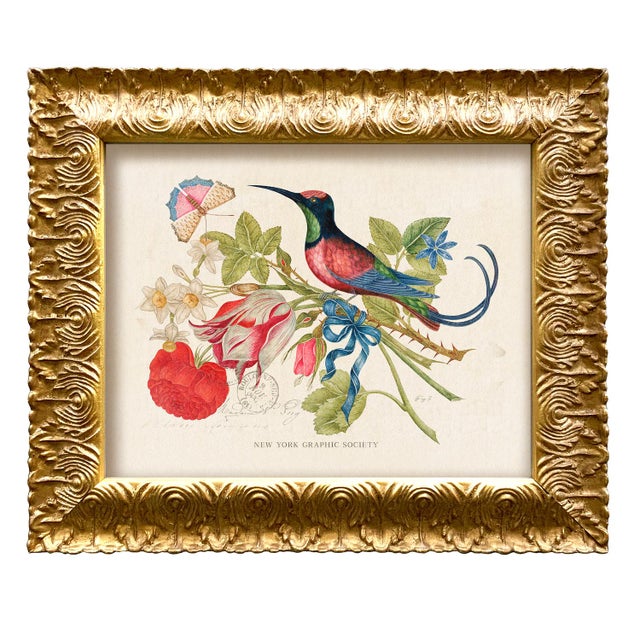 Vintage Reproduction Giclee Print Set of "Birds and Butterflies"-Framed (Set of All 4) For Sale In New York - Image 6 of 7