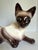 This vintage Siamese cat planter dates to the 1960s and features a wonderfully expressive reclining cat form with striking...
