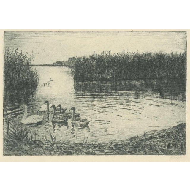 Ernst Kropp, Marsh Landscape with Swans, 1910, Etching For Sale - Image 4 of 9
