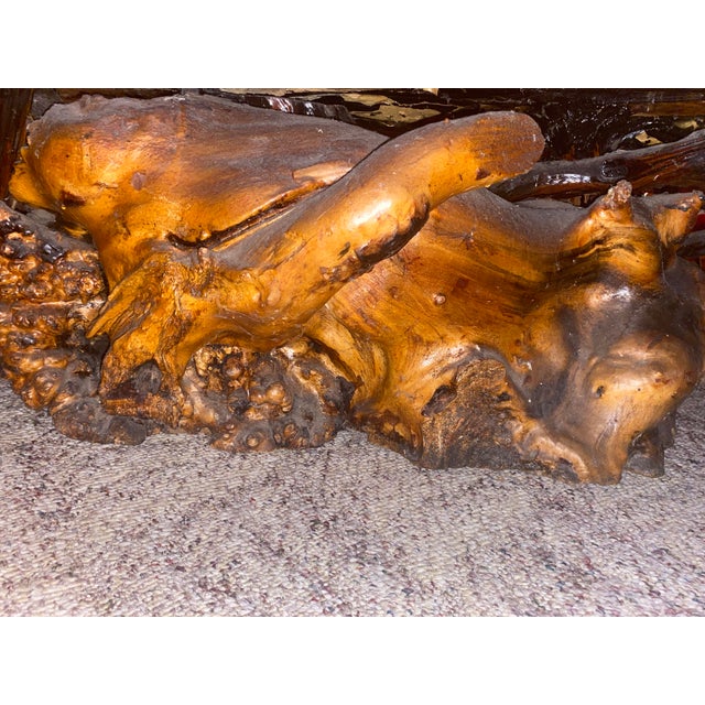 This extraordinary vintage coffee table is handcrafted from a solid redwood burl, featuring a naturally formed root base...