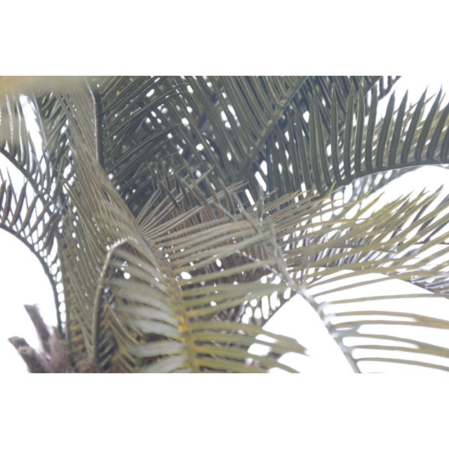 Mid-Century Modern Artificial Palm in Floor Planter For Sale - Image 3 of 5
