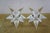 2 Mid Century Rosenthal 9 Point Crystal Taper Candlesticks Candle Holders 4" For Sale - Image 11 of 13
