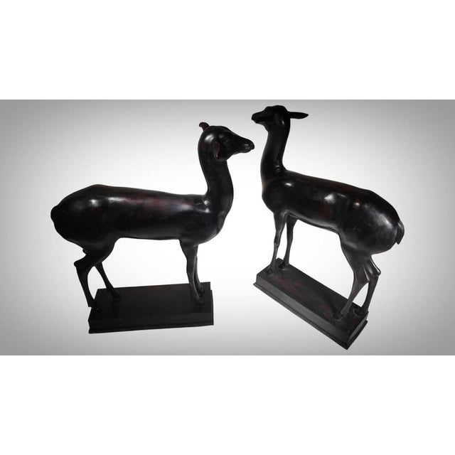 Chiurazzi, Pompeian Deer from Herculaneum, 1930, Bronzes, Set of 2 For Sale - Image 6 of 14
