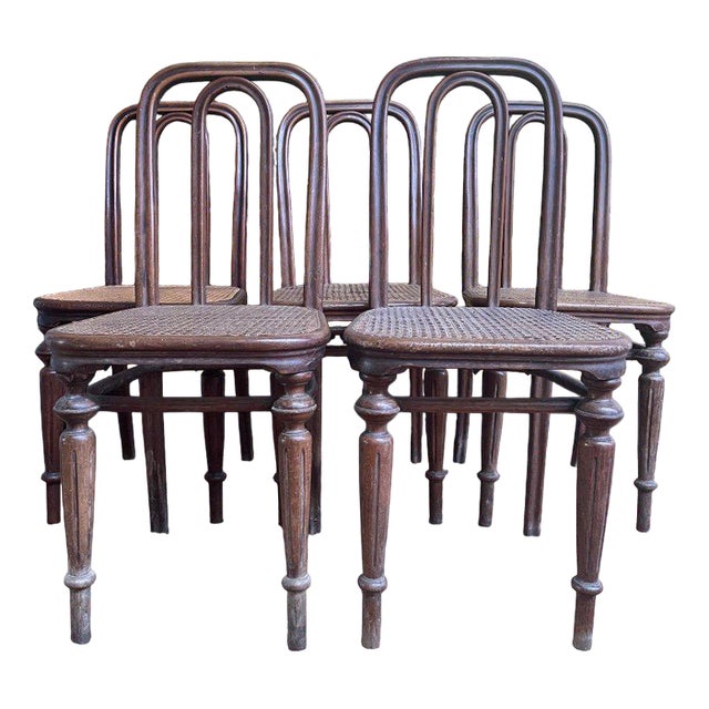 Chairs in Caning from Thonet, Set of 5 For Sale