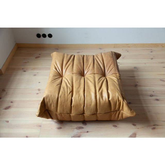 Brown Set of Camel Brown Leather Togo Lounge Chair and Pouf by Michel Ducaroy for Ligne Roset For Sale - Image 8 of 16