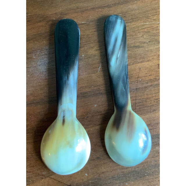 Vintage Hand Carved Horn Caviar Serving Dishes - Set of 5 Pcs. For Coastal, Natural, British Colonial & Palm Beach Regency Entertaining. See Pics! For Sale - Image 9 of 9