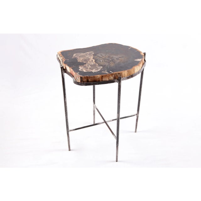 The top of this modern accent side table is made of one slice of organic petrified wood, hand polished to show its...