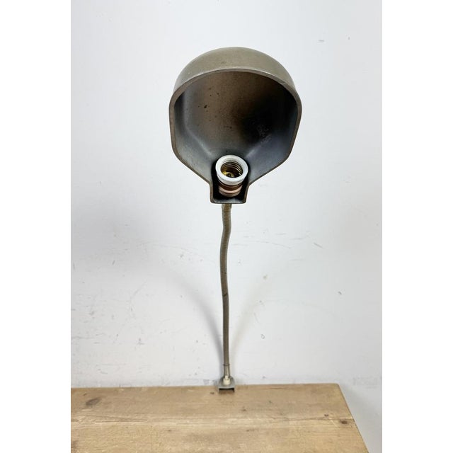 Vintage Grey Italian Gooseneck Table Lamp from GCME, 1950s For Sale - Image 11 of 18