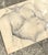 Mid 20th Century Vintage Original Nude Male Sketch For Sale - Image 5 of 12