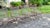 Maurizio Tempestini Mid-Century Bob Anderson Wrought Iron Mesh Patio Chairs - 5 Pieces For Sale - Image 4 of 16