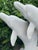 Plastic 1950s Vintage Dolphins Garden Sculpture For Sale - Image 7 of 7