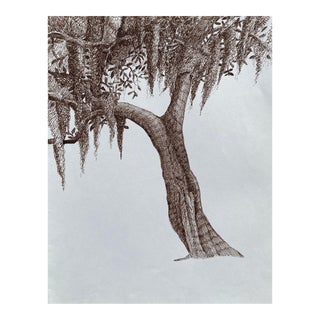 1993 Ron Yrabedra Oak With Spanish Moss Drawing For Sale