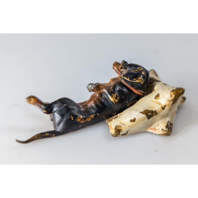 Late 19th Century 19th Century Austrian Cold Painted Bronze of a Dachshund or Wiener Dog For Sale - Image 5 of 9
