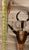 Mid 20th Century Shaman Mixed Metal Sculpture Attributed to Bill Worrell (1936-2021) For Sale In Phoenix - Image 6 of 7