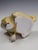 Beige Seated Pug Tobacco Jar from Staffordshire Pottery, 1900 For Sale - Image 8 of 18