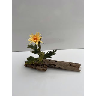 Whittle by Ashley Folkner | Driftwood, paper, wire, paint Flower sculpture on driftwood base For Sale