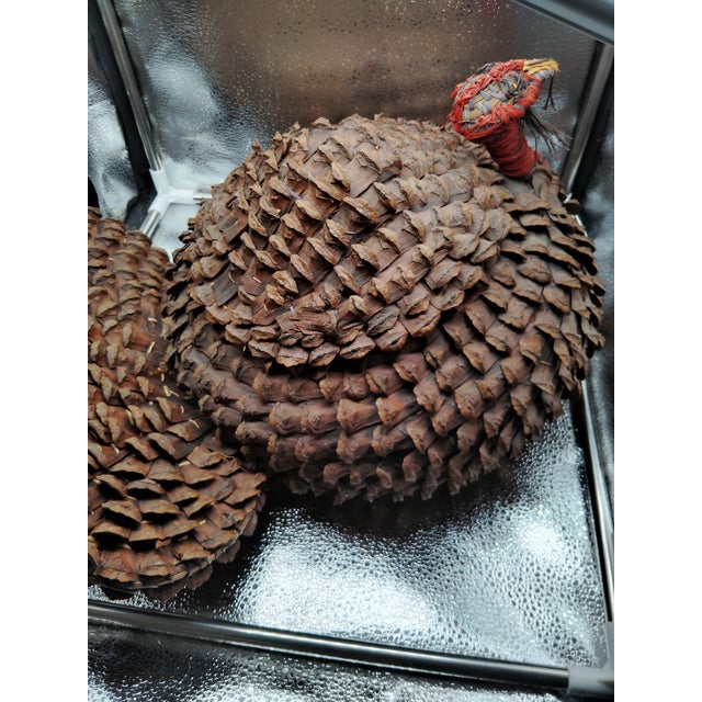 Native American Art Mid 20th Century Coushatta & Seminole Pine Needle Basket For Sale - Image 4 of 12