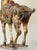 Late 19th Century Chinese Carved, Gilt and Polychrome Wooden Horse For Sale - Image 10 of 15