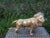 Metal Large Hollywood Regency Brass Lion Sculpture For Sale - Image 7 of 12