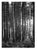 Paul Cooklin, Woodland, Edition of 50 For Sale - Image 4 of 4