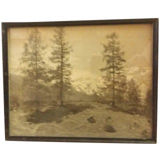 Early 20th-C. Ringelspitz Alps Photography For Sale