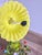 Mid-Century Floral Bouquet 3-Light Chandelier in Green Painted Tole Metal, 1960s For Sale - Image 15 of 16