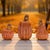 Celebrate the cozy charm of the season with this Decorative Harvest Pumpkin Set, featuring three beautifully sculpted...