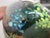 Suzanne Kindland Handblown Icefire Studio Art Glass Green Blue Mottled Vase For Sale - Image 12 of 12