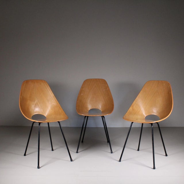 Vintage Medea Chairs by Vittorio Nobili for Fratelli Tagliabue, Set of 3, in Good conditions. Designed 1960 to 1969 I have...