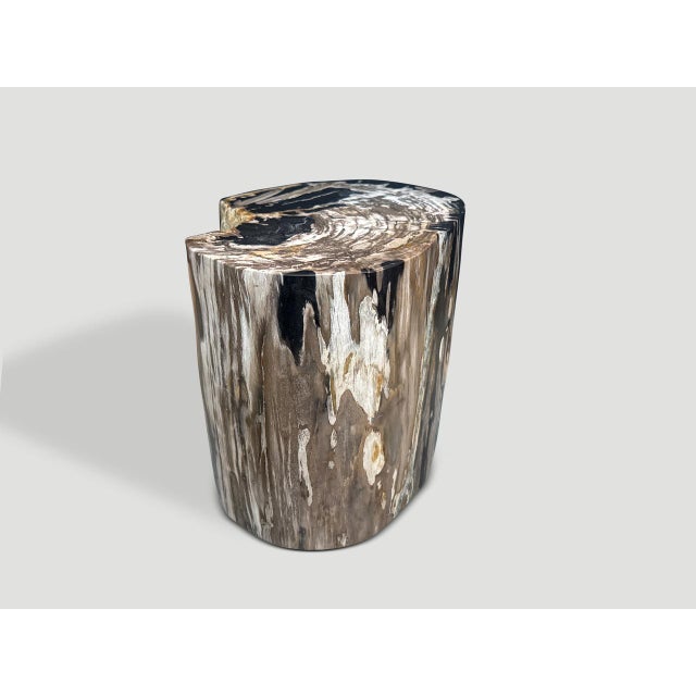 Contemporary Andrianna Shamaris Impressive Ancient Petrified Wood Side Table For Sale - Image 3 of 4