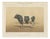 Borie, Breton Bull, French Cattle Breed, 1863, Chromolithograph For Sale