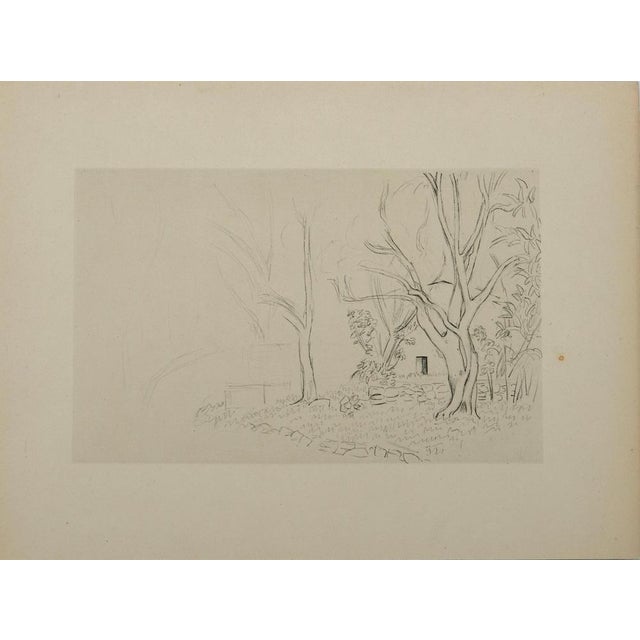 Henri Matisse, Jardin en Provence, Lithograph For Sale - Image 4 of 4