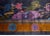 Chinese Art Deco Rug For Sale - Image 9 of 11