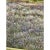 Vintage Impressionist Framed Oil Painting For Sale - Image 4 of 9