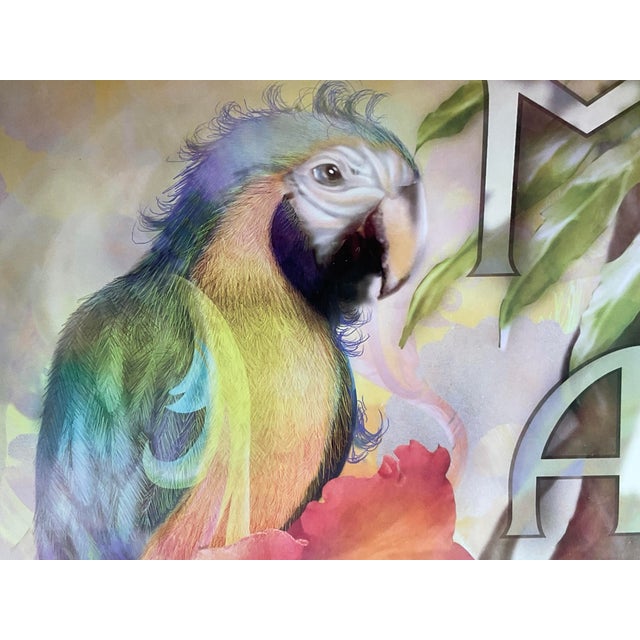 Set of 2 Alma Lee Tropical Macaw Café Framed Art Prints - Bamboo Frames For Sale - Image 10 of 18