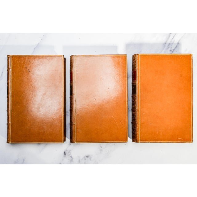 Stately 3 Volume the Rise of the Dutch Republic John Lothrop Motley Full Leather Antique Books Home Office Decor For Sale - Image 10 of 10