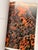 2007 Swissair Posters Georg Gerster Book For Sale - Image 9 of 15