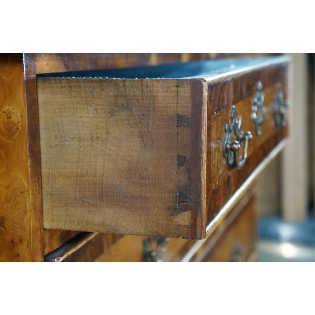 Antique English George II Style Oyster Burl Yew Bachelors Chest Dresser Commode For Sale - Image 10 of 18