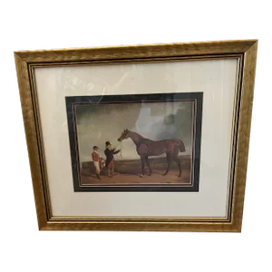 Framed Equestrian Sporting Print : ‘Steeplechase Jockey’