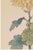 Yellow Mum by Hasegawa, Vintage Japanese Botanical Art Print, 8" X 12" For Sale - Image 4 of 8